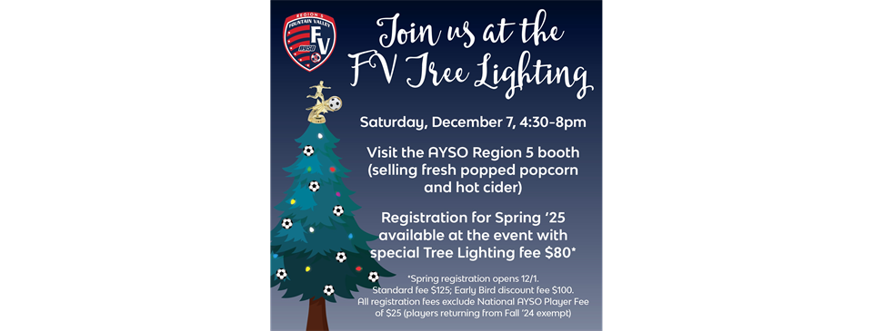 FV Tree Lighting 2024